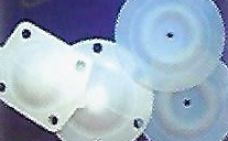DIAPHRAGM