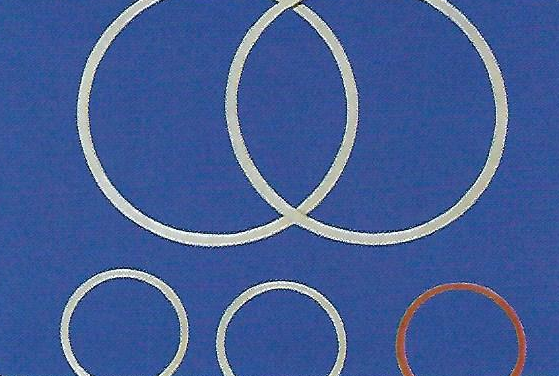 BACK UP RING